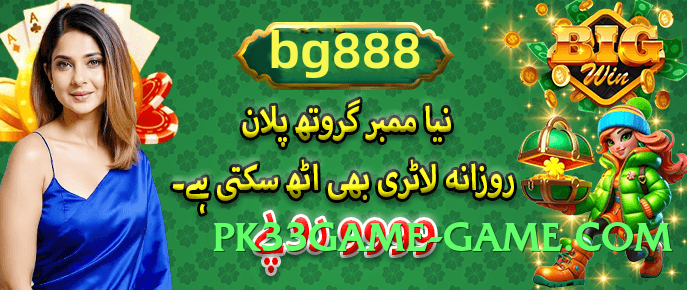 Mega winpkr Advanced v4.1.0 2025 Screenshot 2